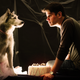 Illustration for article titled It’s Valentine’s Day, so might as well reenact romantic movies with dogs